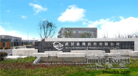 Wuhan Wingroup Pharmaceutical
